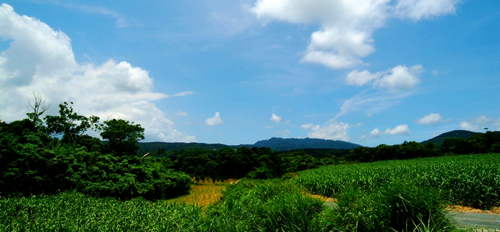 "今归仁"，也是地名，也是公司名称